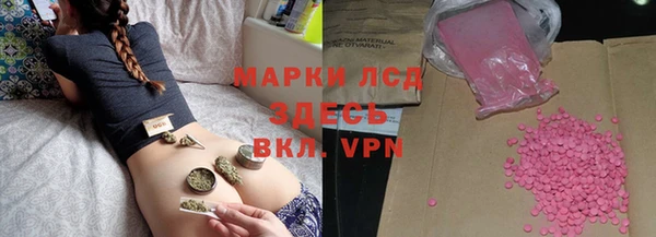 стафф Богданович
