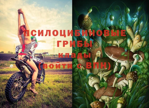 гашиш Богородицк