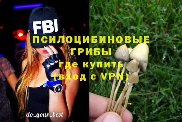 гашиш Богородицк