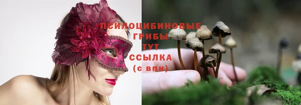 стафф Богданович