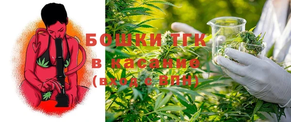 дмт Богородск