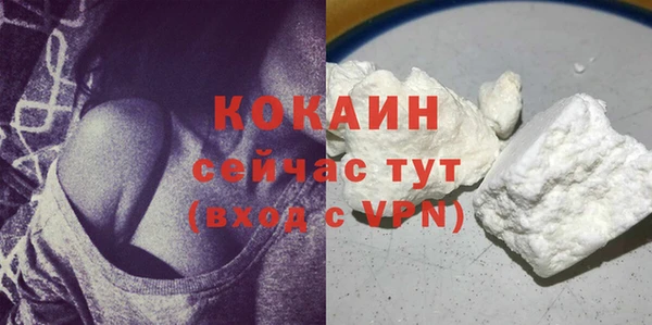 стафф Богданович
