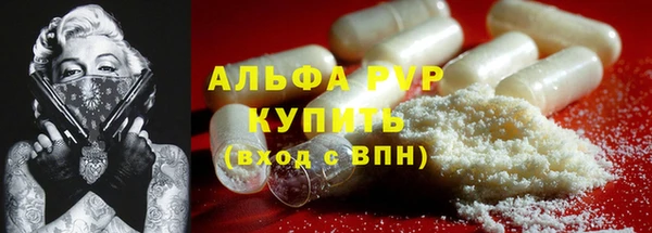 стафф Богданович