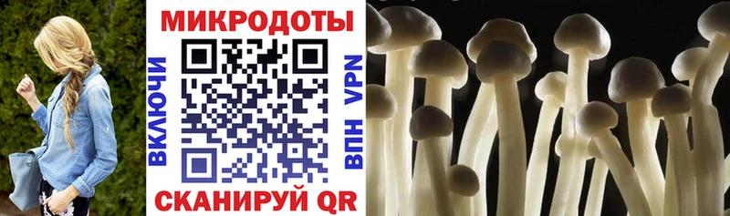 Галлюциногенные грибы мухоморы  Норильск 